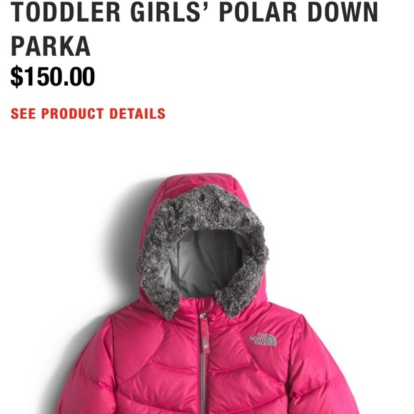 The North Face Toddler Puffer Coat - Picture 4 of 4